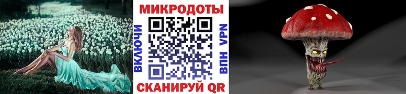 Купить где  Петровск  Псилоцибиновые грибы GOLDEN TEACHER 